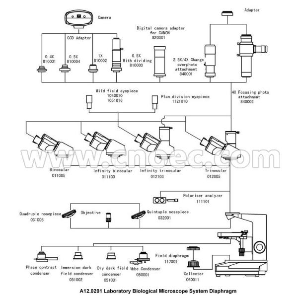 Plano 40X objetivo do microscópio biológico - 1000X com CE A12.0201
