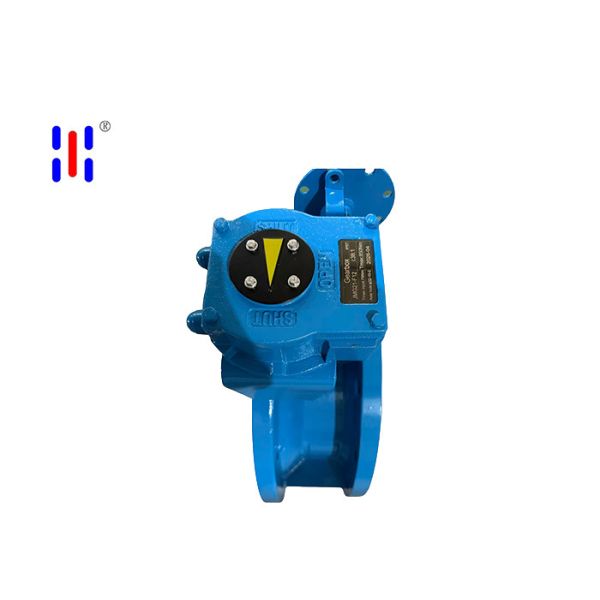 PN16 Cast Butterfly Valve Double Flange Double Eccentric Wafer Lug Type