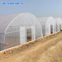 High Tunnel Vegetables Planting Single Span Vegetable Tunnel Plastic Film Greenhouse