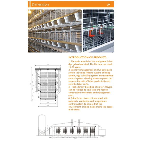 Galvanized Light Steel Frames Broiler Chicken House with Low Maintenance Required and Modular/Panelized Installation Poultry Farming Equipment