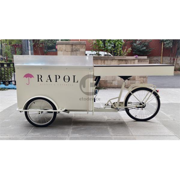 Street Food Delivery Bike with Display Freezer and Customized Snack Truck