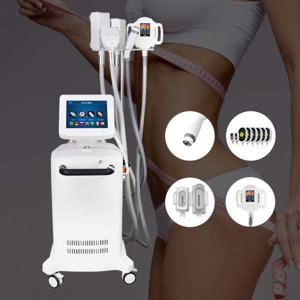 4500W 5 регулирует машину Cryotherapy жирную замерзая для потери веса