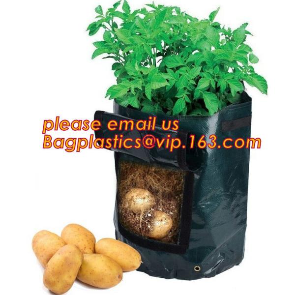 Eco-Friendly PE Potato Growing Bag Garden Planter Bags Reusable Washable Grow Pots Waterproof, Smart Pots for Vegetable