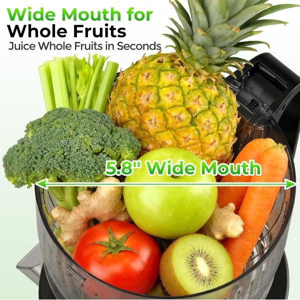 Masticating Juicer Stainless Steel Housing Reverse Mode Low Noise Extraction