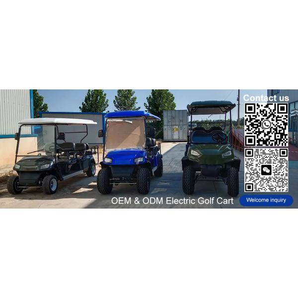 48V LiFePO4 Battery Electric Golf Cart Vehicle Luxury 4 Seater Scooter for Sal