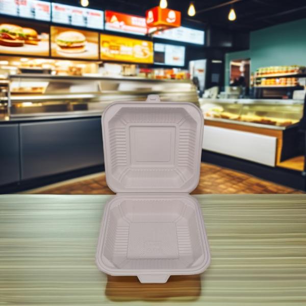 Microwave Safe Square Plastic Lunch Boxes Biodegradable Containers for Food Packaging