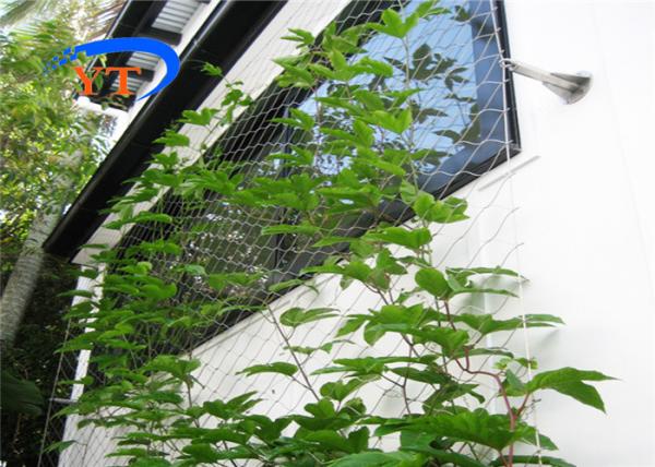 2.0mm SUS304 Stainless Steel Woven Wire Mesh Cable Netting 100x100mm For Plant Climbing