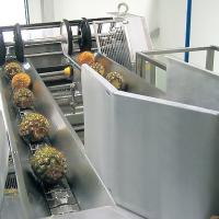 chaîne de fabrication d'ananas de 380V 50Hz pour le jus concentré