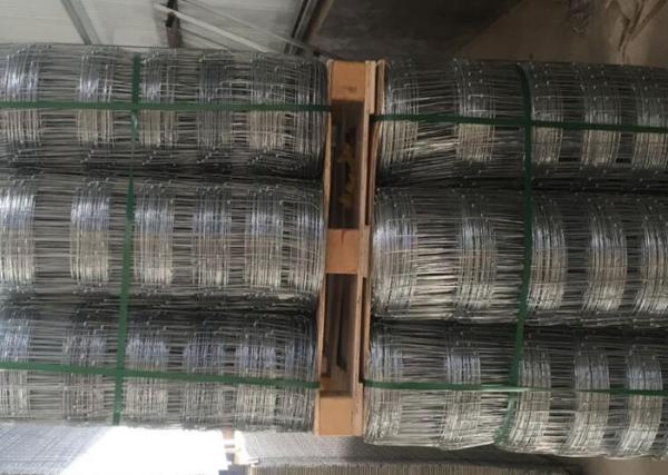 Deer Livestock Wire Fencing , Welded Wire Stock Panels 1.8-3.0mm Dia
