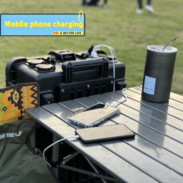 3000W Pure Sine Wave Outdoor Portable Generator for Customizable Communication and Camping