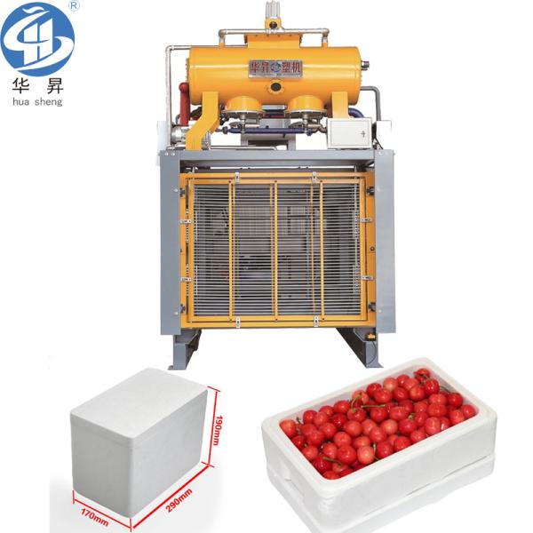 US Currency EPS Foam Machine for Automatic Styrofoam Molding of Polystyrene Boxes