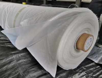 Géotextile de Plastik et revêtement composés non tissés de feuille de Geomembrane