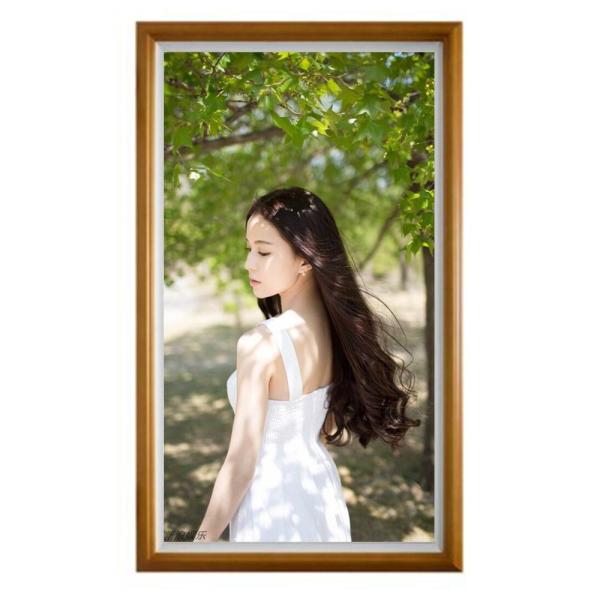27 Inch Advertising Digital Signage Kiosk / Electronic Advertising Non Touch Screens