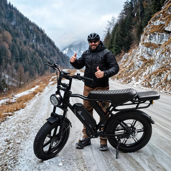 V20 20inch Electric Bike 48V 15Ah Steel Frame Fatbike 750w Lithium Battery LCD Rear Hub Motor 20 Inch 7 Speed V20 Pro