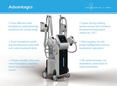 2019 China manufacturer four cryolipolysis machine for sale/criolipolisis machine cryolipolysis