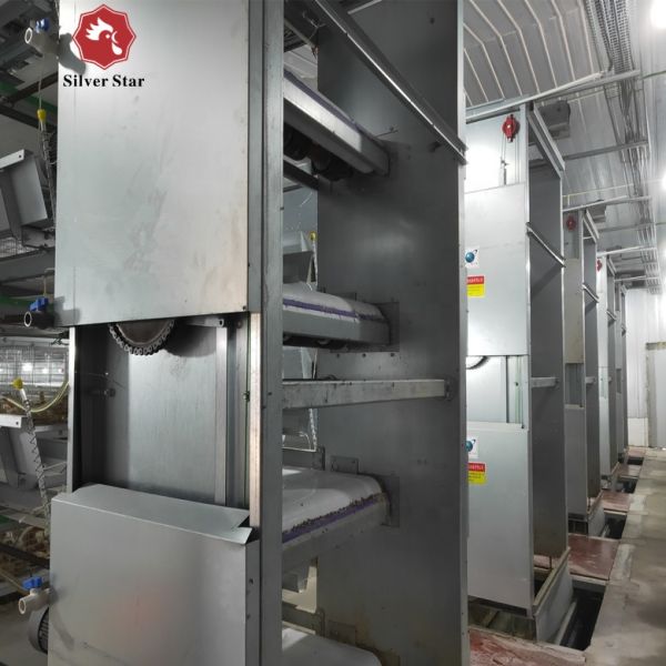 Poultry Cage/cages for Laying Hens Used/chicken Breeding Equipment