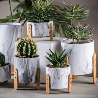 Planteurs de pot de ciment de Mini Succulents Planters Tabletop Pots Clay Flower Pots Marble Flowerpots