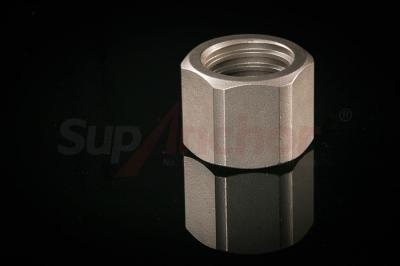Stainless Steel Anchor Nut for SSTR51 Self Drilling Anchor Bar Anti Corrosion Grade 1.4462