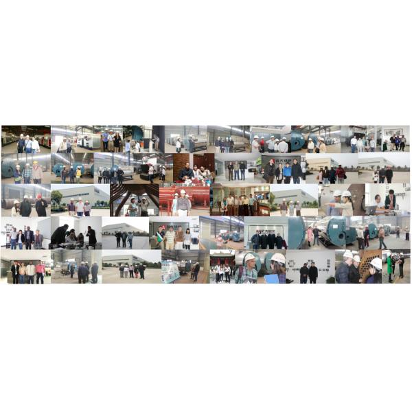 Biomass Wood Thermal Oil Boiler For Oil Mill Plywood Rubber Industry