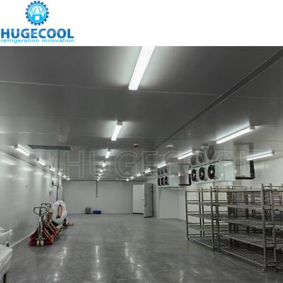 Cold Storage Operation Hugecool Walk in Cold Room Chambers Fridge Temperature -10-0C