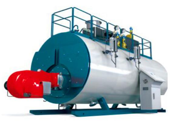 Condensação ateada fogo do combustível de caldeira do vapor do gás do tubo de fogo da eficiência elevada para a fábrica do alimento