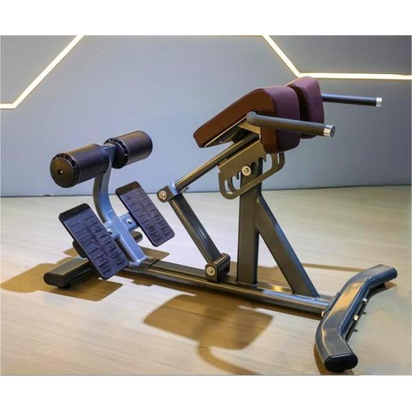 Equipo de acondicionamiento físico Ejercicio de espalda de extensión de espalda ajustable silla romana