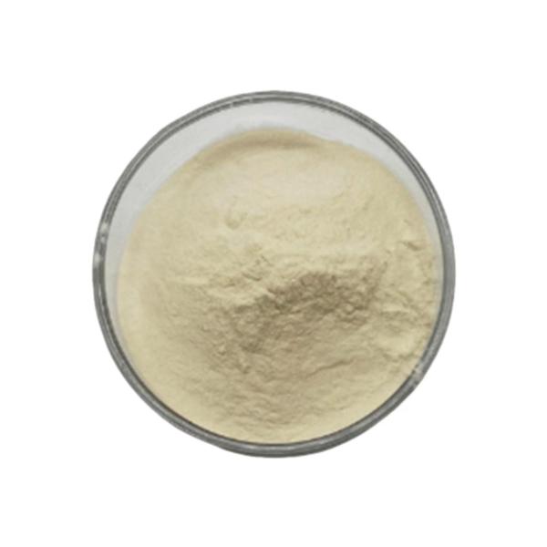 A geleia real Halal 10-HDA 4% dos cuidados médicos frescos naturais liofilizou Jelly Powder real