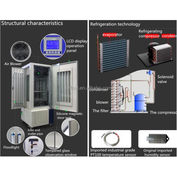 LIYI Plant Growth Chamber Artificial Climate Seed Germination Machine Plant Growth Box Incubator