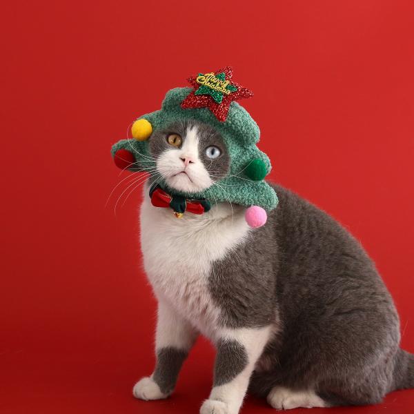 Chapeau pour animaux de compagnie, casque du Père Noël, carton d'arbre de Noël, accessoires pour chats