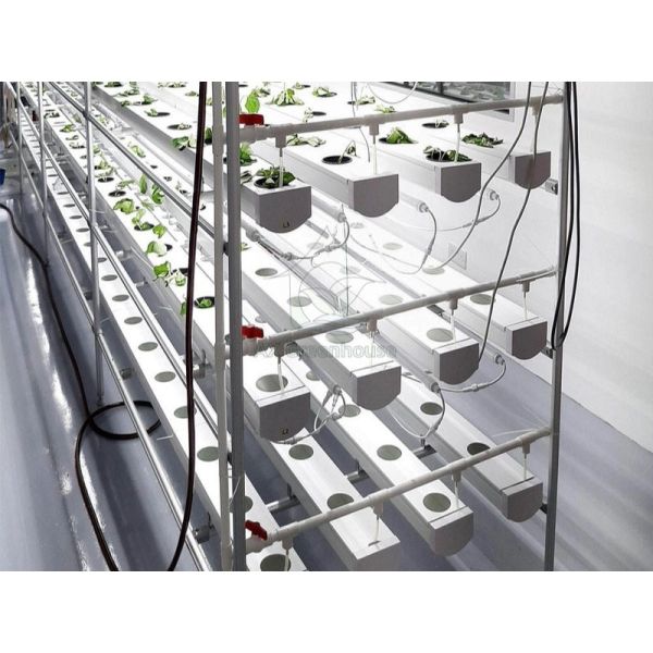 Automated Multi-layer Vertical NFT Hydroponic System with Integrated LED Lighting for Soilless Cultivation