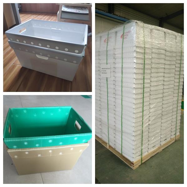 PP Postal Totes Corrugated Plastic Turnover Box 3mm Coroplast