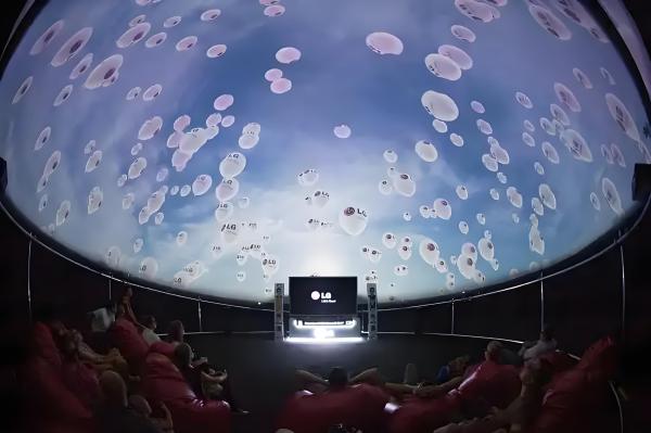 VR Dome Cinema 4D 9D Flying Experience with CE/Rohs Certification