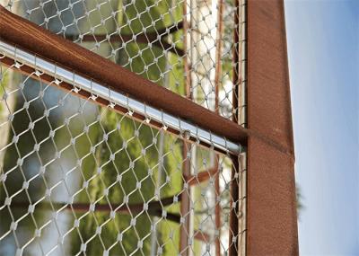 Wall Stainless Steel Trellis Mesh Garden Mesh Green Plant Climbing