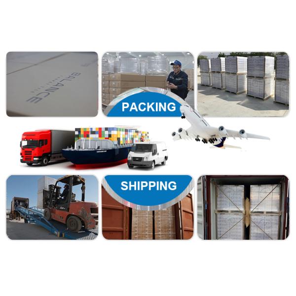 500x500 Hotel Carpet with Green PVC Backing and Loop Pile Construction