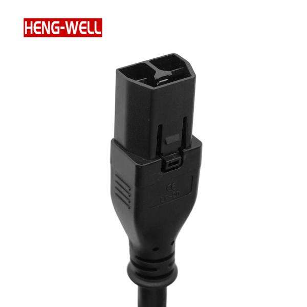 Heng-Well SAF-D-GIRD 400V 3 Core 12Gauge 2.5mm2 Extension Cord 30A Rated Current C20 Plug Power Cable for PDU Server Equipment