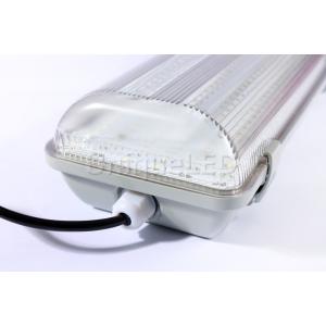 Led Explosion Proof Lamp