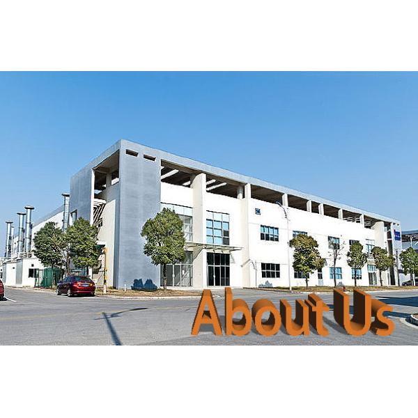 Sustainable and Leak-Proof Disposable Dog Pee Pads Fast Drying Pee Mats for Everyday