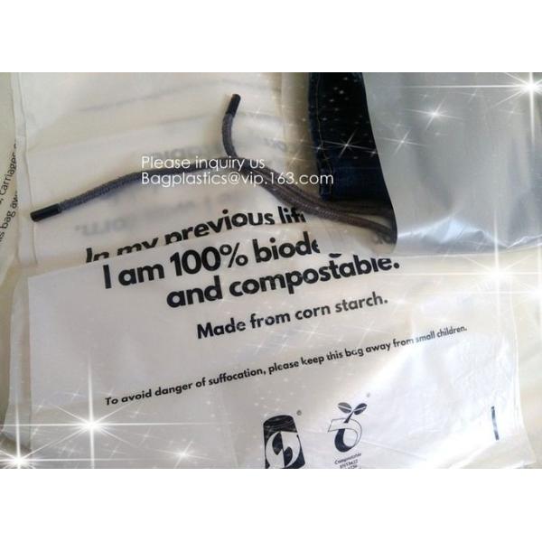 100% Compostable, biodegradable corn starch Zipper Slider Bags, Slider zipper bag, Eco carry bag pla bag Recyclable