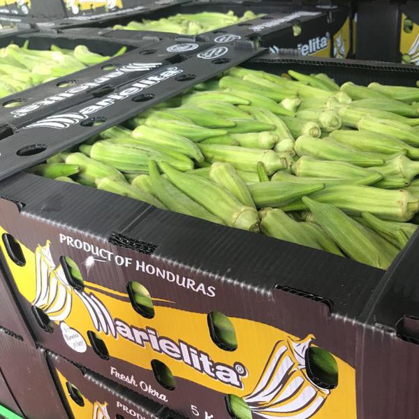 Коробка сота ящиков для хранения Корфлейт брокколи рифленая для плодов