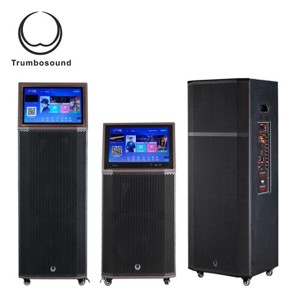Bluetooth Multifunction Mobile Speaker 15 Inch Two Way Loudspeaker Wifi Loudspeaker