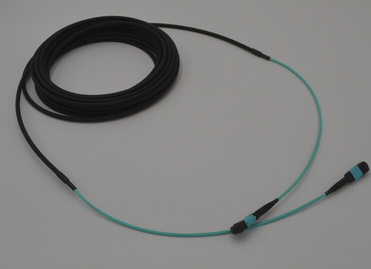 24 кабеля хобота оболочки ядра MPO MTP OM4 5.5MM двойных с кабелем 30cm