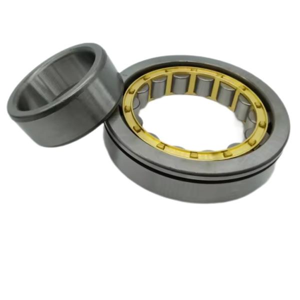 Taper Structure Cylindrical Roller Bearing N219EM NU219EM NJ219EM NF219EM 95*170