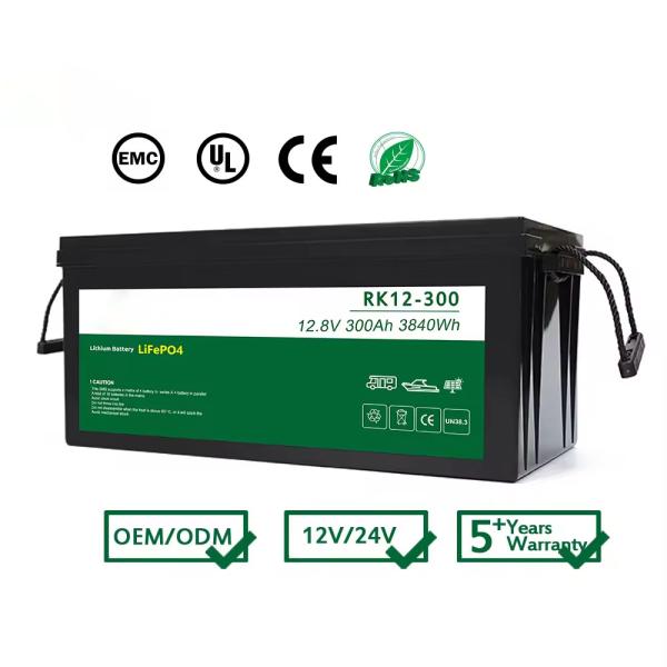 Ультрамощный 24В 30AH литийный аккумулятор 8000 циклов Ультралегкая конструкция для использования в транспортных средствах