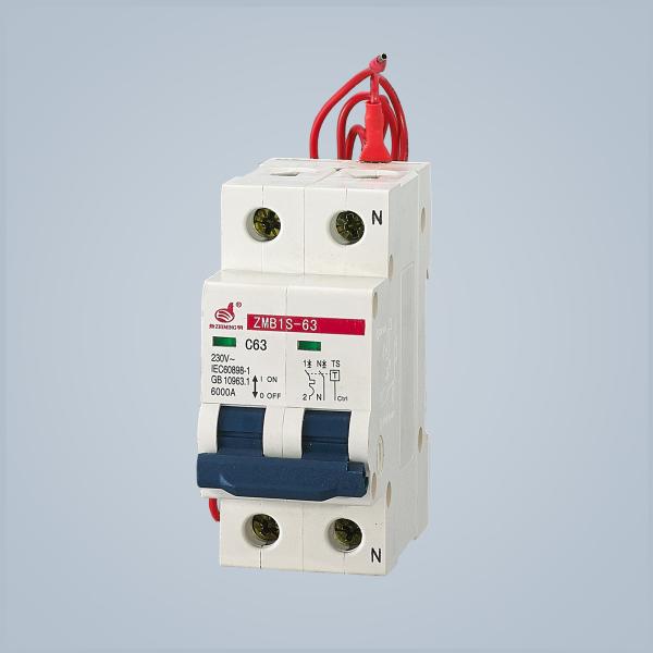 2P 4P MCB Circuit Breaker 63 Amp With Shunt Release 230V