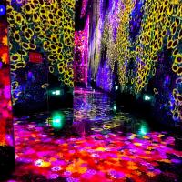 Multi-canaux Projecteur de salle immersive Projection interactive murale immersive