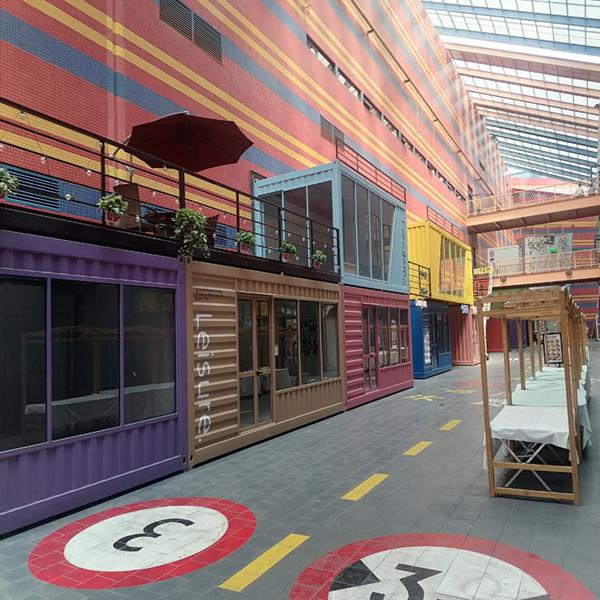 Custom Creative Steel Container Living Solutions 20ft 40ft