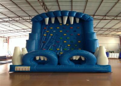 Blue Rock Climbing Bounce House 6 X 4m Commercial Inflatable Ladder Climb