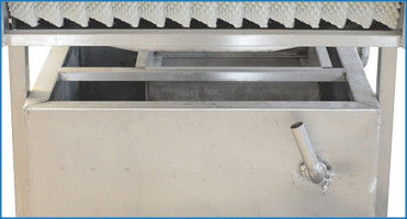 Parallel Roller Seafood 800kg Fruit And Vegetable Washer Machine