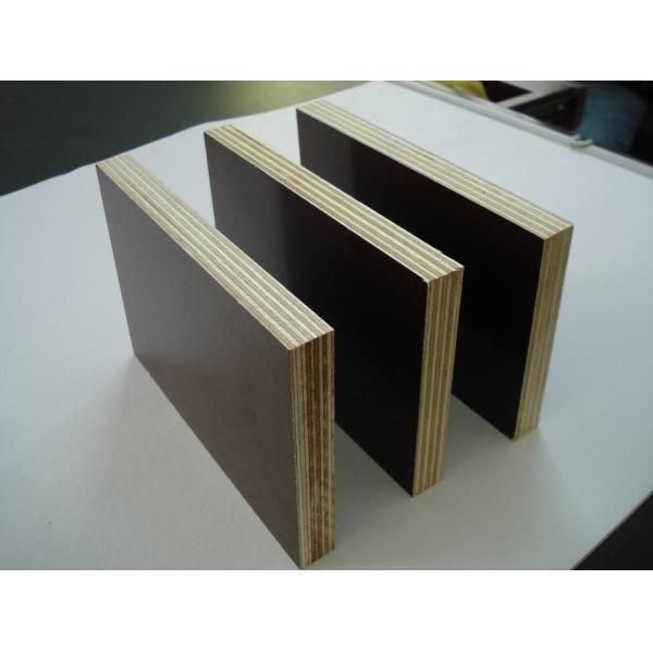 professional  film faced plywood manufacture