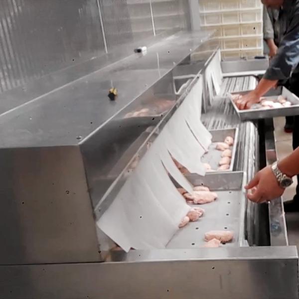 100kg/H SS304 Quick Freezer Vegetables Food Freezing Machine